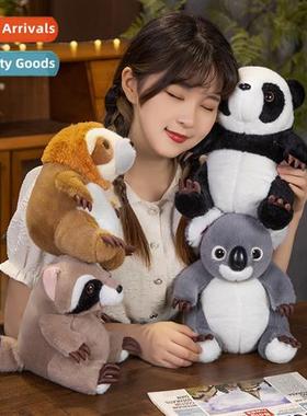 Cute fun paw series plush toys cute sloth racco doll living