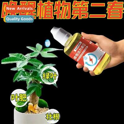 Flowering special type plant valizer flowers become alive ro