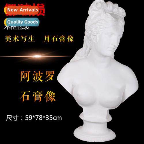 Brt Sun God Apollo Plaster Plaster Teaching Aids Plaster Hea