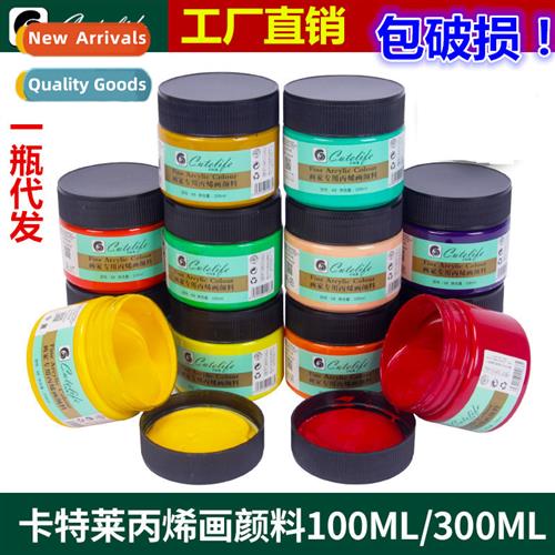 Acrylic paint 100ML 24 colors set beginner wall painting tex