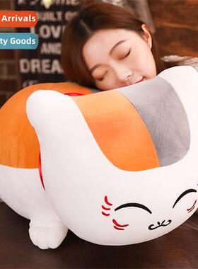 Natsume friend account cat teacher doll plush toys cat teach