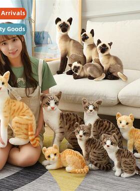 Simulati cat Siamese cat civet cat orange cat cute cat cat d