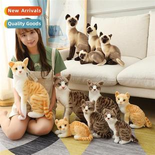 Simulati cat Siamese cat civet cat orange cat cute cat cat d