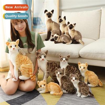 Simulati cat Siamese cat civet cat orange cat cute cat cat d