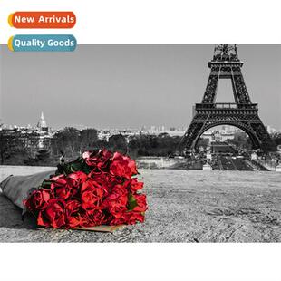 Diamd painting new Paris Tower safflower diamd painting mode