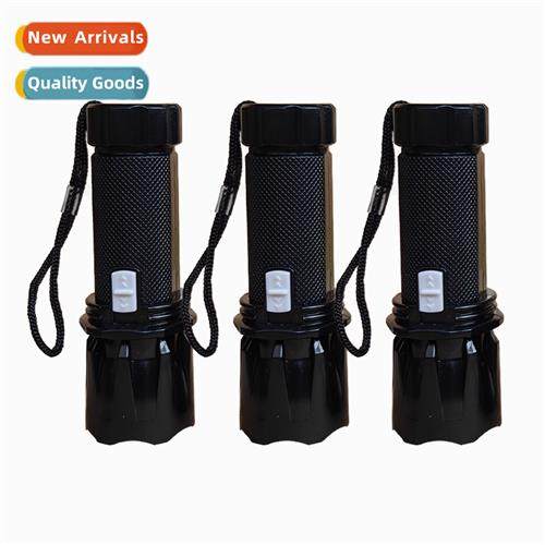 Plastic small flashlight bright flashlight lighting led prac