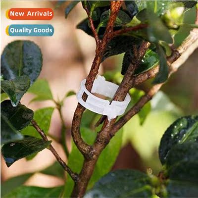 Plant clamps/cantaloupe clamps/plastic vine clamps/branch cl