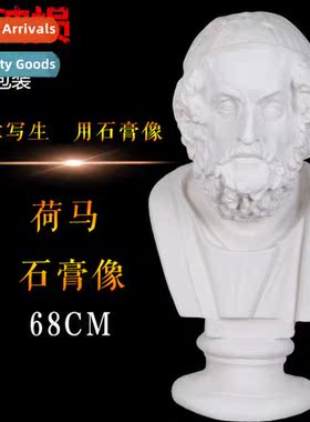 Brt Homer plaster statue art supplies plaster teaching aids