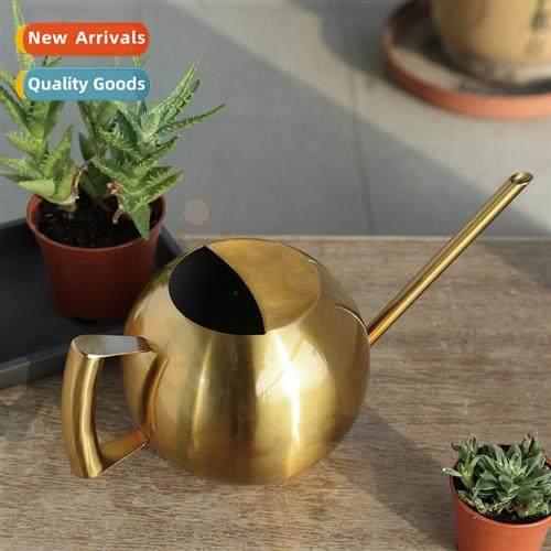 Household spherical stainless steel watering can gardening l