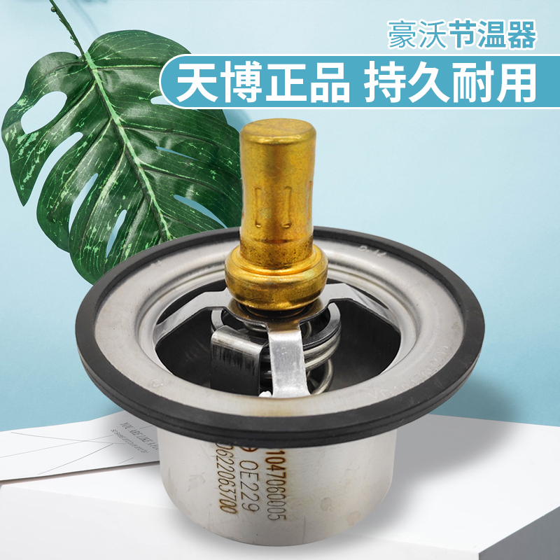 中国重汽豪沃节温器原厂