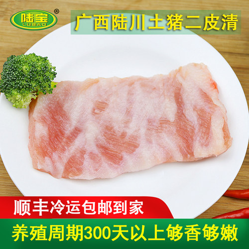 中国三大培育名猪陆川土猪