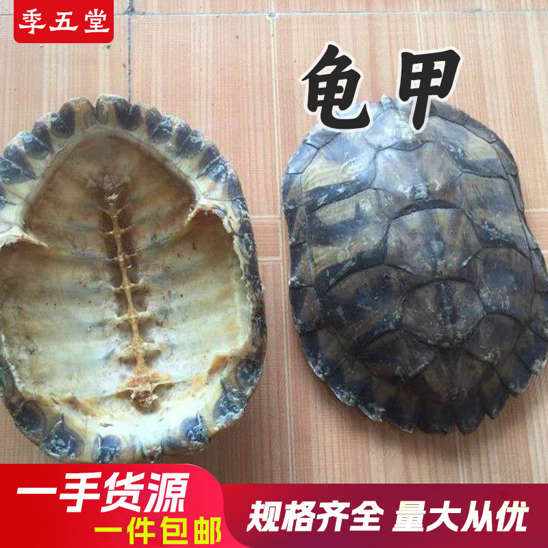 龟甲500g龟上甲龟壳乌龟壳包邮