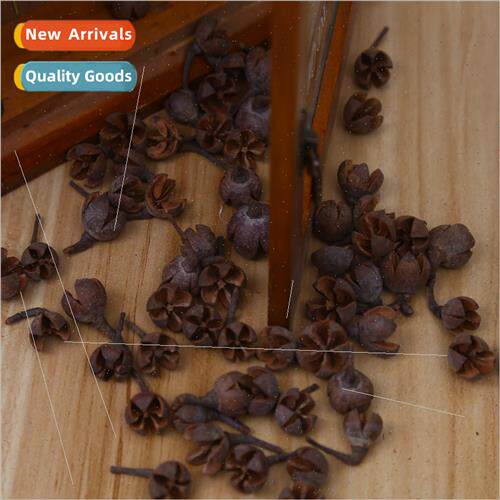 Wild natural dried flowers dried fru fru natural pine cones