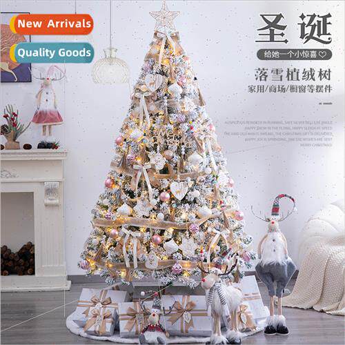 Christmas decoration home Christmas e package 1.5/1.8/2.1 me
