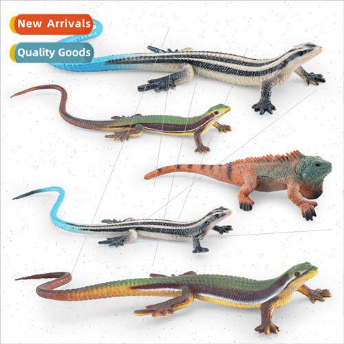 Desert est reptile chameleon grass lizard amphibian model st