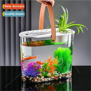 Home aquarium ecological fighting fish tank transparent gold