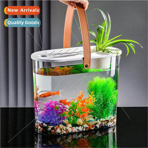 Home aquarium ecological fighting fish tank transparent gold