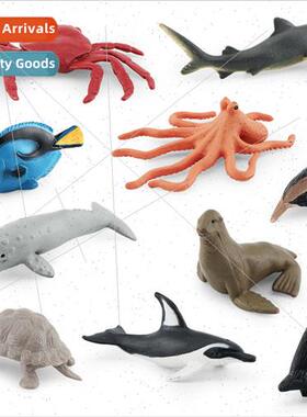 Pacific creature octopus tortoise tiger shark gray whale tig