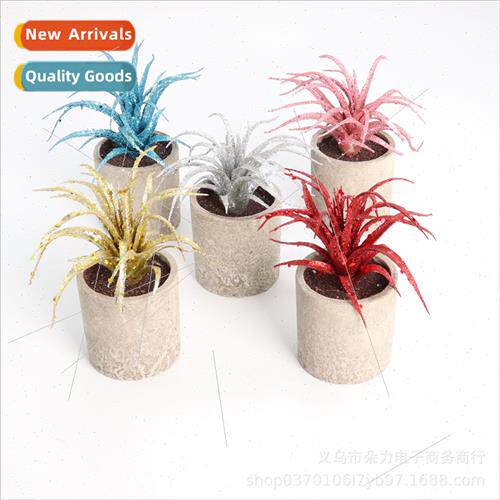 New new issue Gold dust Christmas succulent potted plants ho