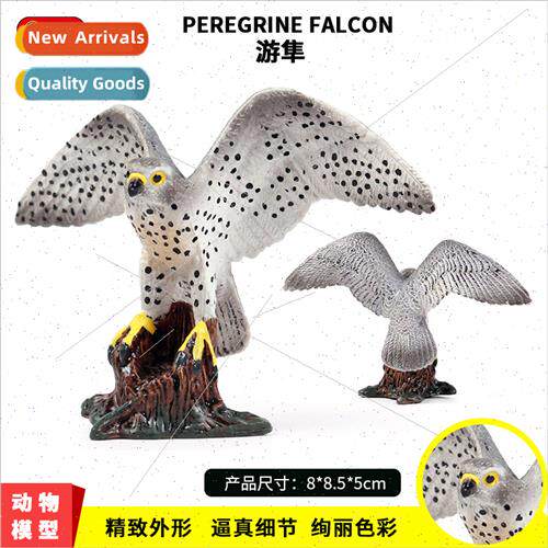 wild solid bird model ornaments animal toys static peregrine