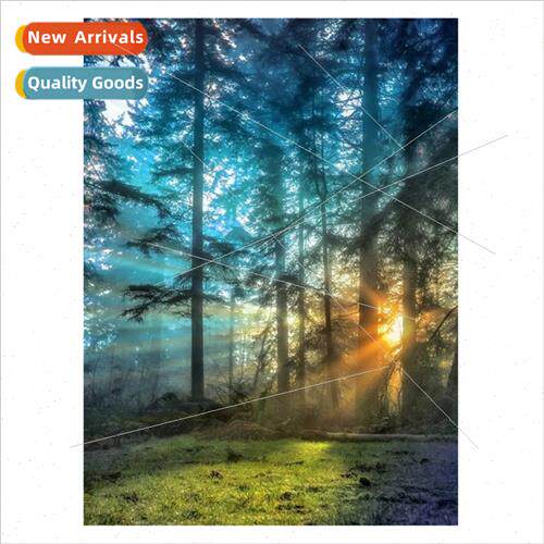 5D diamond painting new full diamond morning woods handmade
