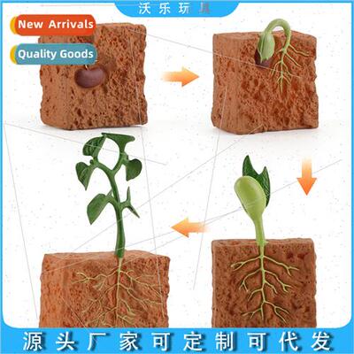 Creative seed germination into a seedling process solid stat
