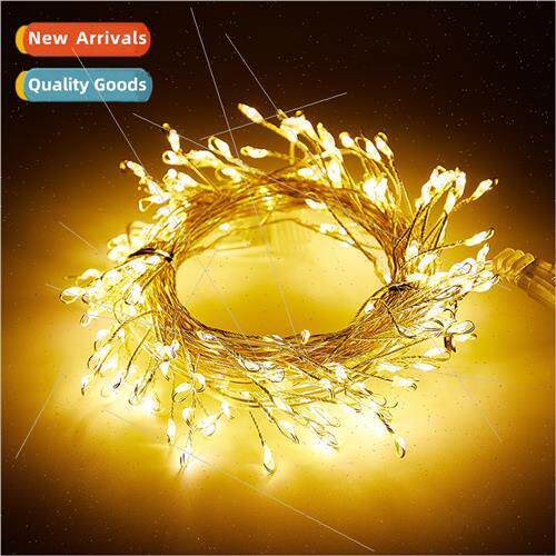 New LED copper wire colorful light string waterpromale femal