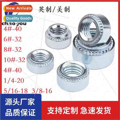 US UK environmental protection rivet nut Pressure plate nut