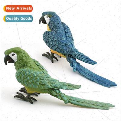 Model mulation Wild Flying Birds Birds Animals Parrots Stati
