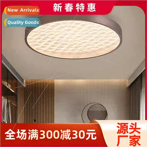 ght luxury Scandinavian new bedroom living room LED ceiling