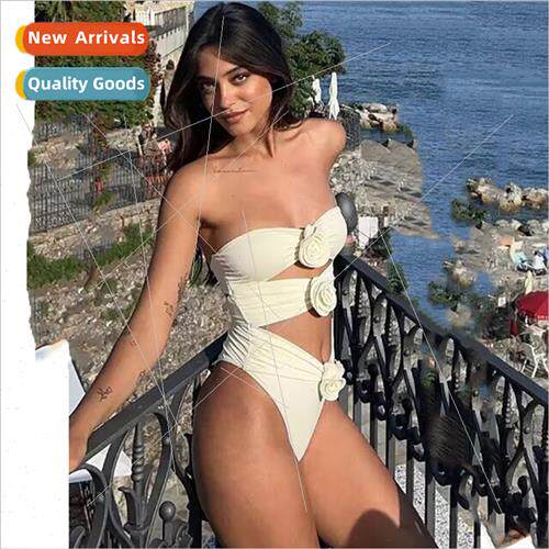 Europe One-piece Swimsu Women New Slimming Premium Feeling S
