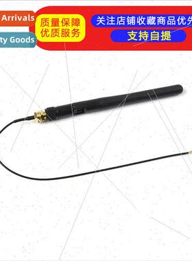 Raspberry Pi Computing Module CM4 al Antenna Antenna SMA 2.4