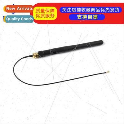 Raspberry Pi Computing Module CM4 al Antenna Antenna SMA 2.4