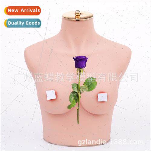 Silicone soft body model simulation mannequin bra model fema