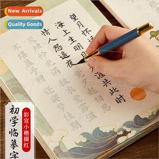 Brush lettering post calligraphy适用beginners starter set lo