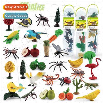 Animal plant birds insects frus vegetables es storage box se