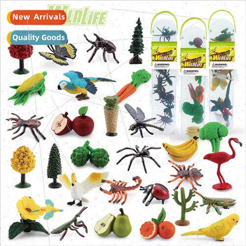 Animal plant birds insects frus vegetables es storage box se