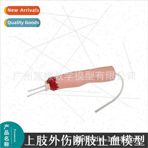 Upper exmy trauma amputation hemostasis model/arm amputation