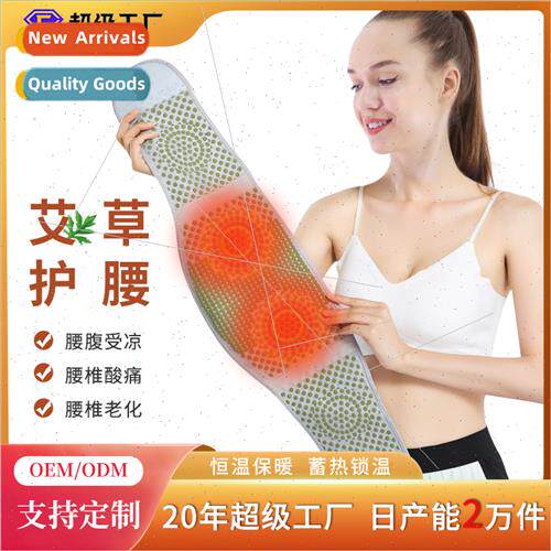 Warm Windproof Waist Protector Wormwood Herb Waist Protector