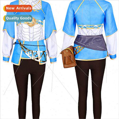 Breath of the Wild cosplay princess game costumes Halloween