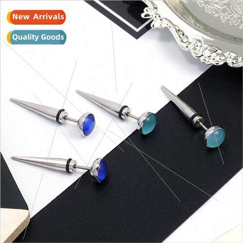 Vintage Piercing Punk Rock Stainless Steel Earrings Tanium S