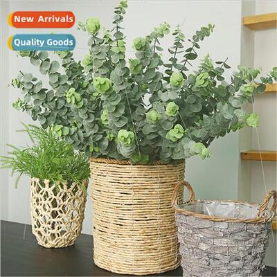 mulation plants Eucalyptus Gin Leaf Indoor Decoration Flower