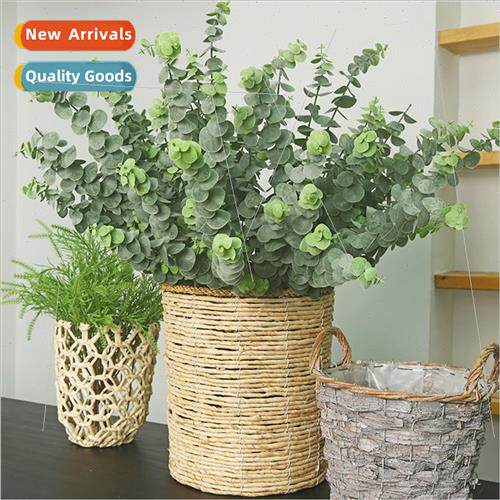 mulation plants Eucalyptus Gin Leaf Indoor Decoration Flower