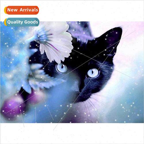 New Fantasy Black Cat Diamond Painting Modern Small Handmade