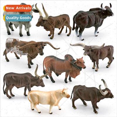 Anchor Lavatucci Texas Longhorn Rumpelstiltskin Charolais Ca