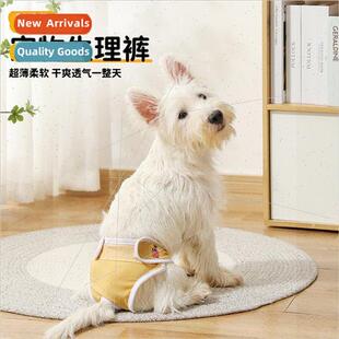 Dog physiological trousers auntie trousers mother dog specia