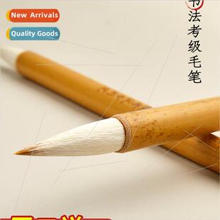 Shanghai nine-year compulsory education examination special