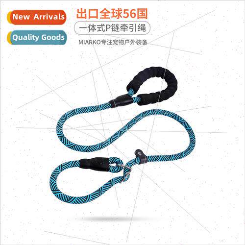 Dog leash explosion-propunch P chain dog walking leash anti-