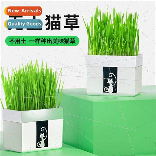 tinfoil bag lazy cat grass planting k cat green planting hai