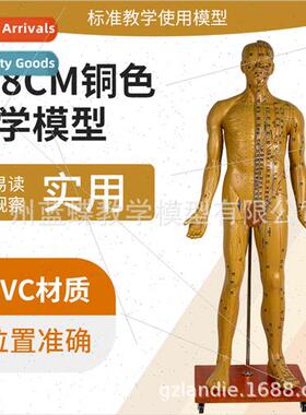 170CM human acupuncture model acupuncture bronze model 178cm